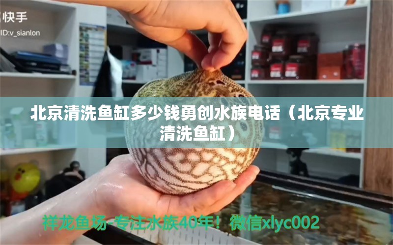 北京清洗魚缸多少錢勇創(chuàng)水族電話（北京專業(yè)清洗魚缸）