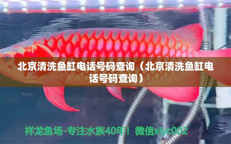 北京清洗魚缸電話號(hào)碼查詢（北京清洗魚缸電話號(hào)碼查詢）