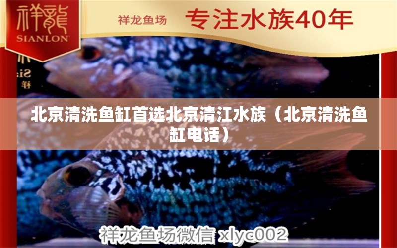 北京清洗魚缸首選北京清江水族（北京清洗魚缸電話） 量子養(yǎng)魚技術(shù)