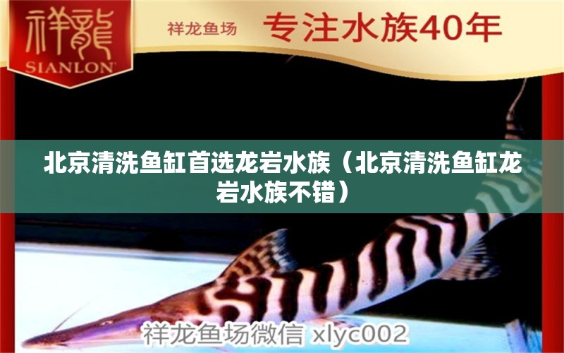 北京清洗魚缸首選龍巖水族（北京清洗魚缸龍巖水族不錯(cuò)）