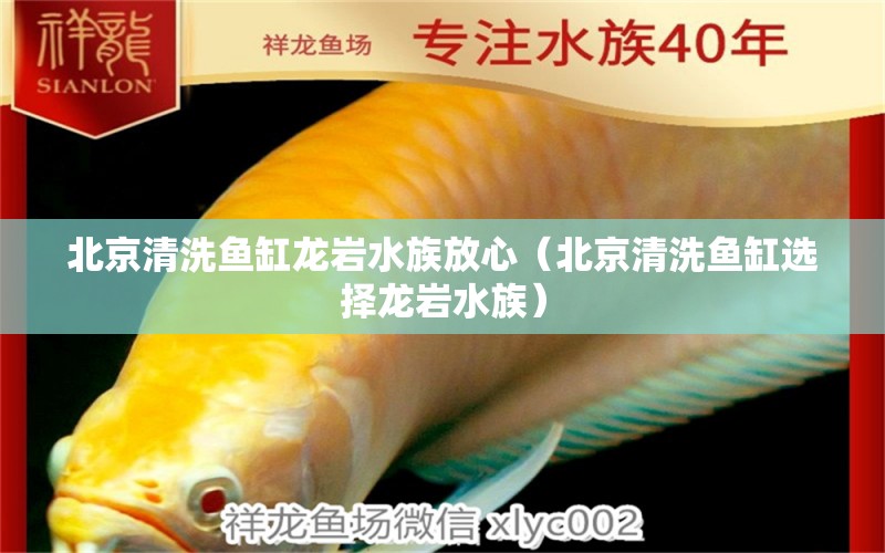 北京清洗魚(yú)缸龍巖水族放心（北京清洗魚(yú)缸選擇龍巖水族）