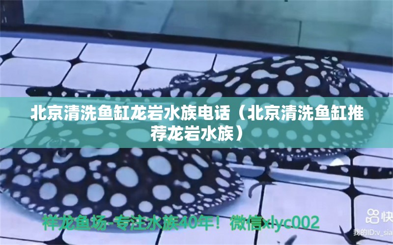 北京清洗魚缸龍巖水族電話（北京清洗魚缸推薦龍巖水族）