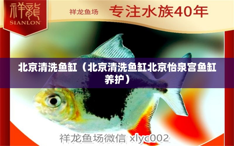 北京清洗魚缸（北京清洗魚缸北京怡泉宮魚缸養(yǎng)護(hù)）