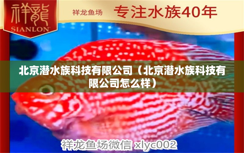 北京潛水族科技有限公司（北京潛水族科技有限公司怎么樣）