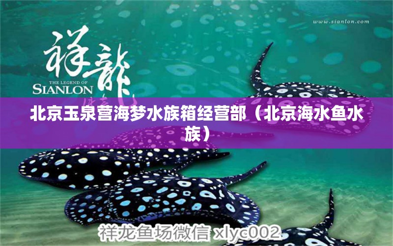 北京玉泉營海夢水族箱經(jīng)營部（北京海水魚水族）