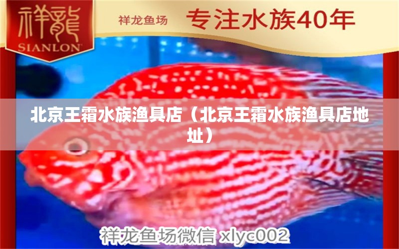 北京王霜水族漁具店（北京王霜水族漁具店地址）