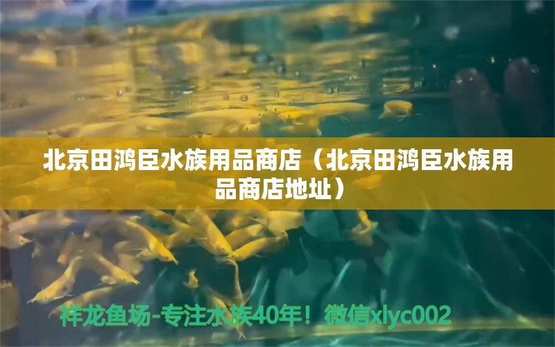 北京田鴻臣水族用品商店（北京田鴻臣水族用品商店地址） 水族用品