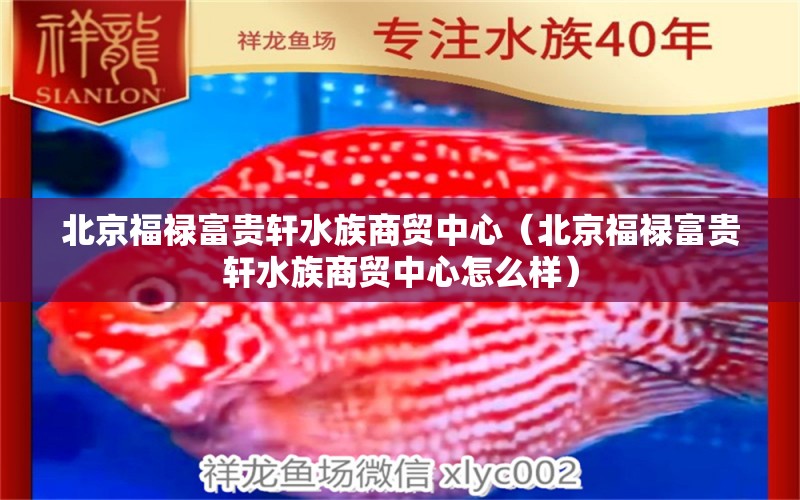 北京福祿富貴軒水族商貿(mào)中心（北京福祿富貴軒水族商貿(mào)中心怎么樣）