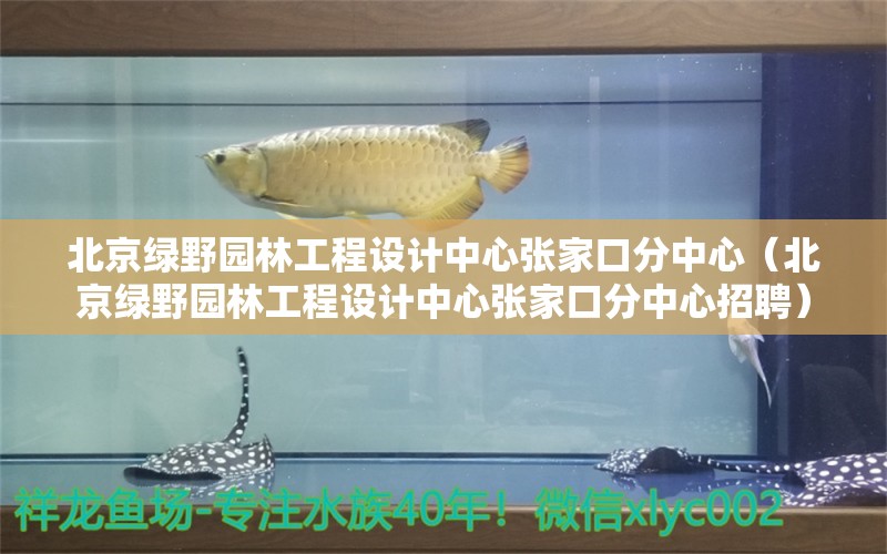 北京綠野園林工程設(shè)計(jì)中心張家口分中心（北京綠野園林工程設(shè)計(jì)中心張家口分中心招聘） 全國(guó)水族館企業(yè)名錄