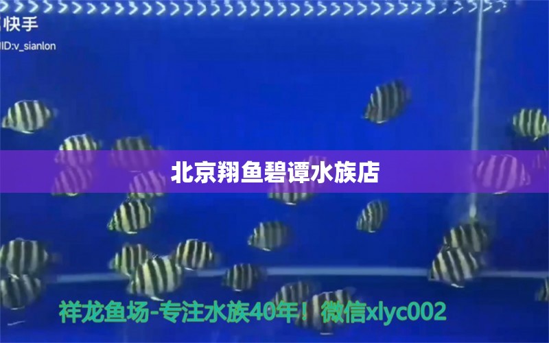 北京翔魚碧譚水族店 全國(guó)水族館企業(yè)名錄 第1張