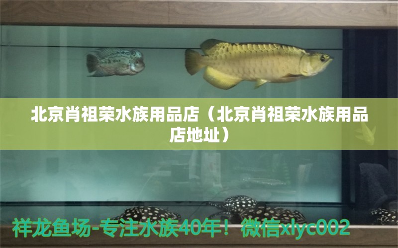 北京肖祖榮水族用品店（北京肖祖榮水族用品店地址）