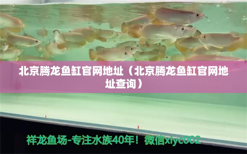 北京騰龍魚缸官網(wǎng)地址（北京騰龍魚缸官網(wǎng)地址查詢）