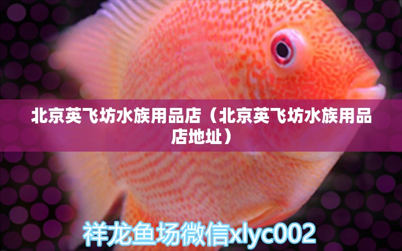 北京英飛坊水族用品店（北京英飛坊水族用品店地址）