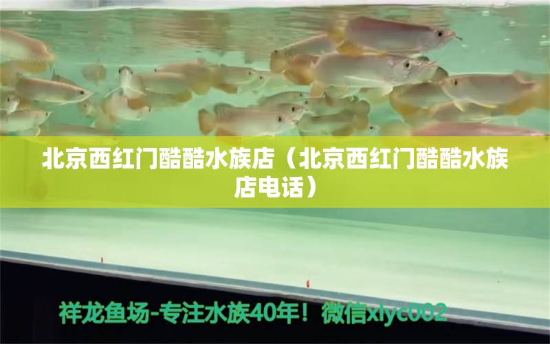 北京西紅門酷酷水族店（北京西紅門酷酷水族店電話） 全國水族館企業(yè)名錄