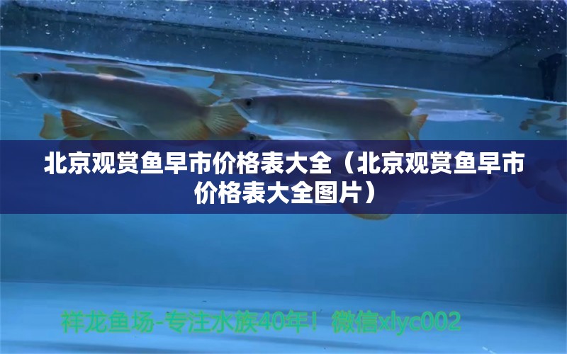 北京觀賞魚早市價格表大全（北京觀賞魚早市價格表大全圖片）