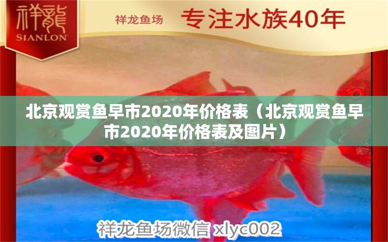 北京觀賞魚早市2020年價格表（北京觀賞魚早市2020年價格表及圖片）