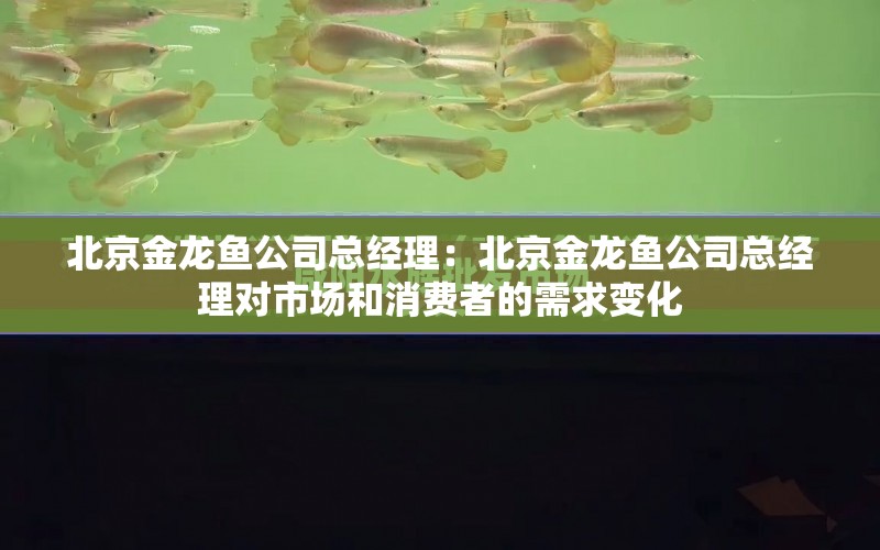 北京金龍魚公司總經理：北京金龍魚公司總經理對市場和消費者的需求變化 水族問答