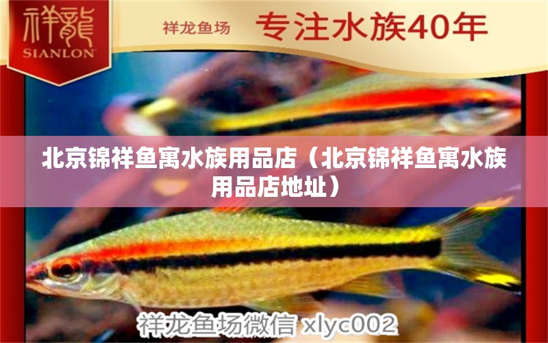 北京錦祥魚寓水族用品店（北京錦祥魚寓水族用品店地址） 水族用品