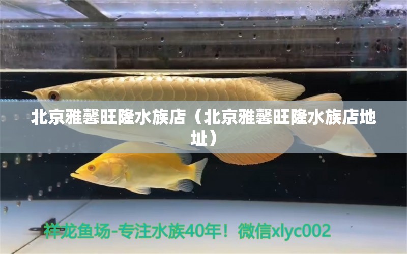 北京雅馨旺隆水族店（北京雅馨旺隆水族店地址） 全國水族館企業(yè)名錄