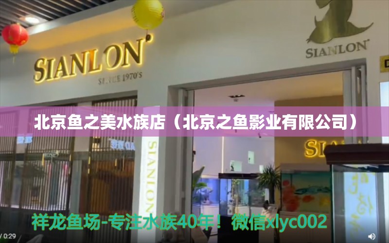 北京魚之美水族店（北京之魚影業(yè)有限公司） 全國水族館企業(yè)名錄