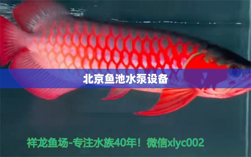 北京魚池水泵設(shè)備 廣州水族器材濾材批發(fā)市場