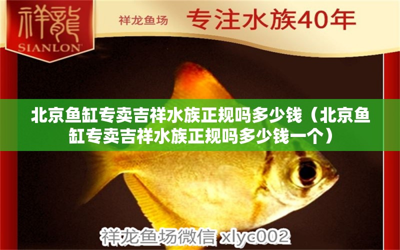 北京魚缸專賣吉祥水族正規(guī)嗎多少錢（北京魚缸專賣吉祥水族正規(guī)嗎多少錢一個）