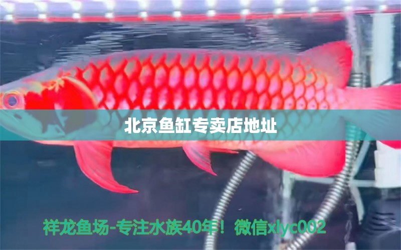 北京魚缸專賣店地址 其他品牌魚缸