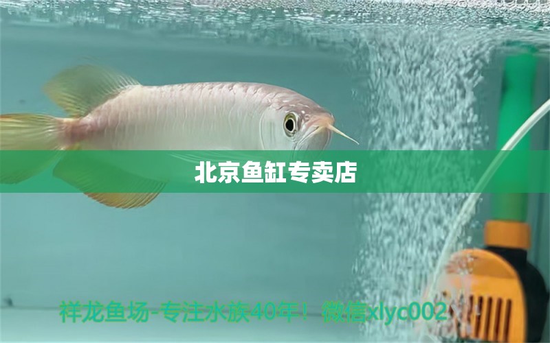 北京魚缸專賣店