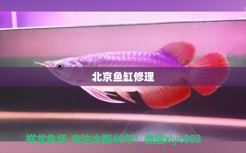 北京魚缸修理