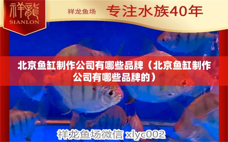 北京魚(yú)缸制作公司有哪些品牌（北京魚(yú)缸制作公司有哪些品牌的）