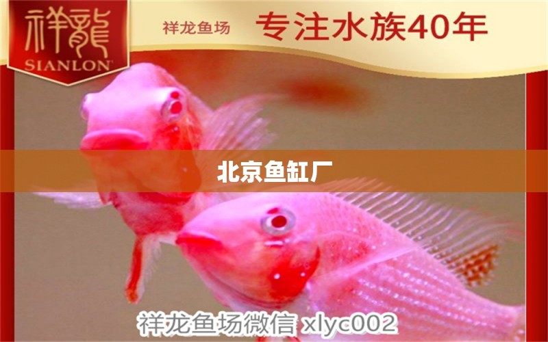 北京魚缸廠