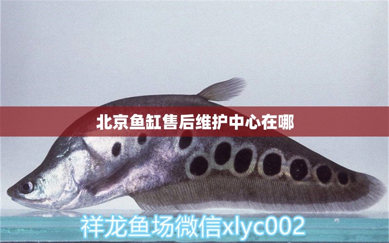 北京魚缸售后維護中心在哪