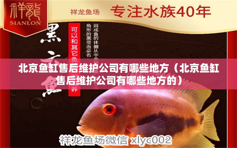 北京魚缸售后維護(hù)公司有哪些地方（北京魚缸售后維護(hù)公司有哪些地方的） 其他品牌魚缸