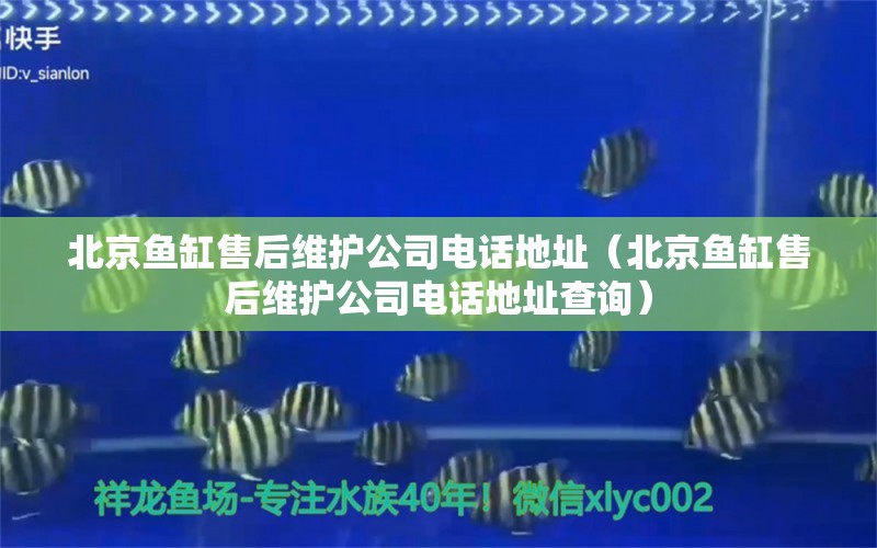 北京魚缸售后維護(hù)公司電話地址（北京魚缸售后維護(hù)公司電話地址查詢）