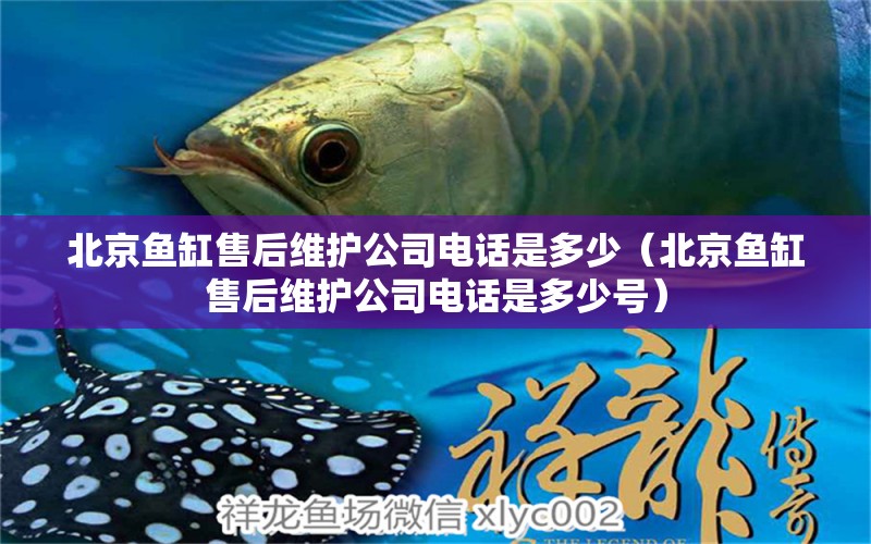 北京魚缸售后維護(hù)公司電話是多少（北京魚缸售后維護(hù)公司電話是多少號）