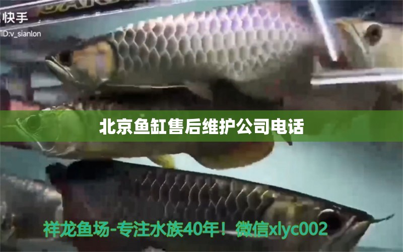 北京魚缸售后維護公司電話