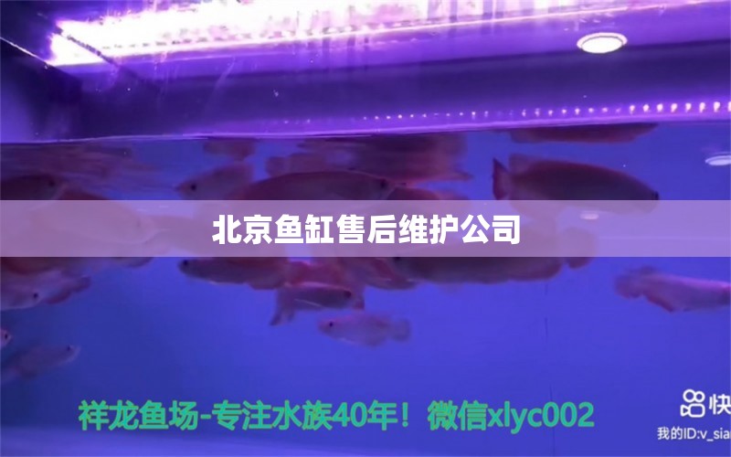 北京魚缸售后維護(hù)公司