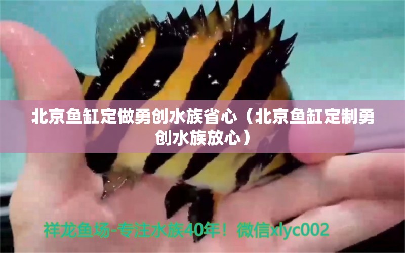 北京魚缸定做勇創(chuàng)水族省心（北京魚缸定制勇創(chuàng)水族放心）