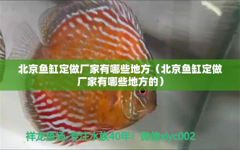 北京魚缸定做廠家有哪些地方（北京魚缸定做廠家有哪些地方的）