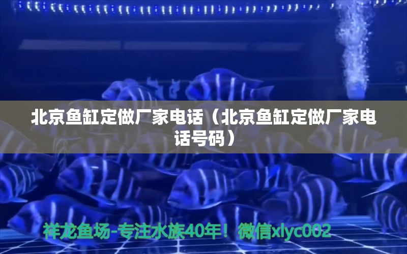 北京魚缸定做廠家電話（北京魚缸定做廠家電話號碼）