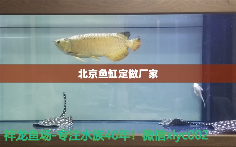 北京魚(yú)缸定做廠家 其他品牌魚(yú)缸