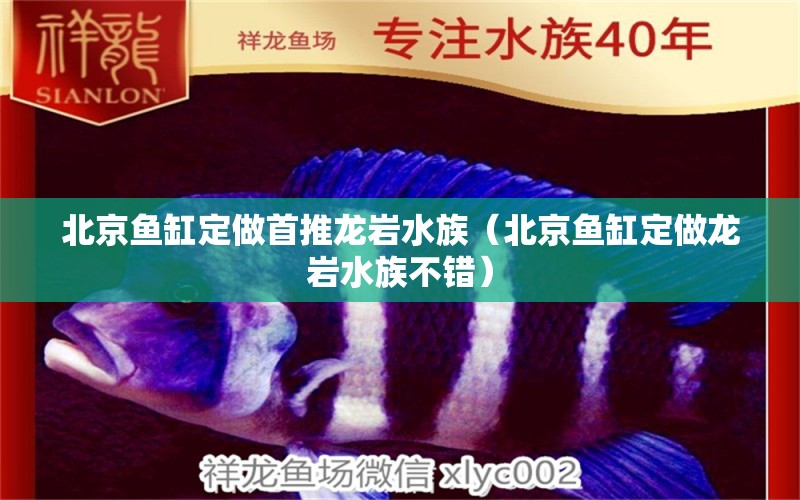 北京魚缸定做首推龍巖水族（北京魚缸定做龍巖水族不錯）