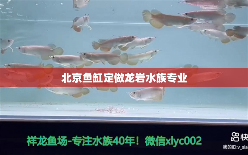 北京魚缸定做龍巖水族專業(yè)