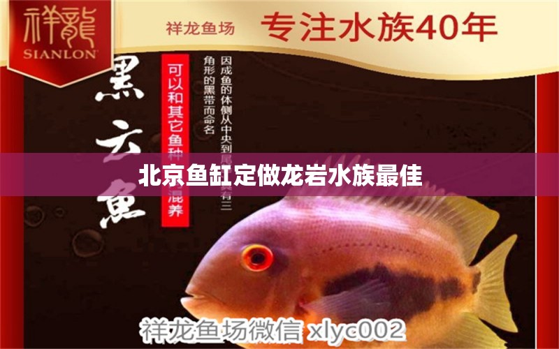 北京魚缸定做龍巖水族最佳