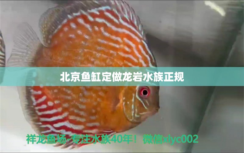 北京魚缸定做龍巖水族正規(guī)