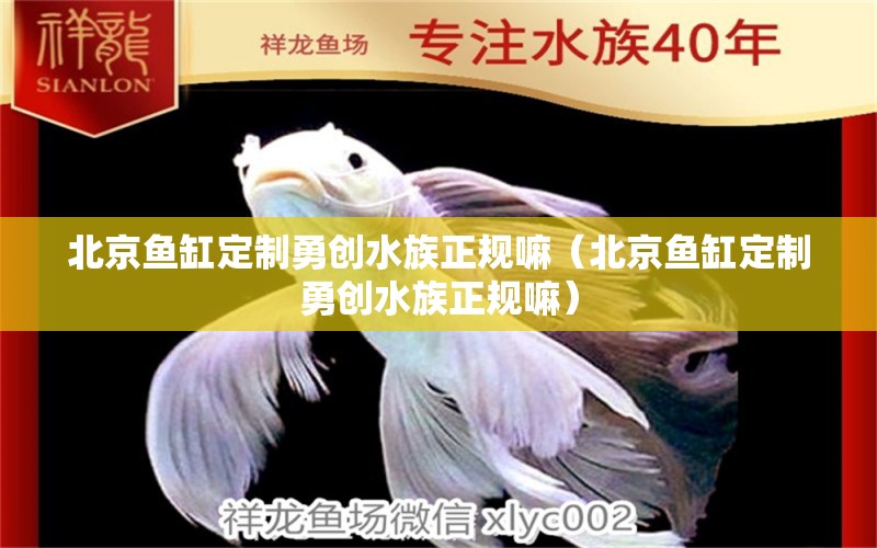 北京魚缸定制勇創(chuàng)水族正規(guī)嘛（北京魚缸定制勇創(chuàng)水族正規(guī)嘛） 印尼四紋虎