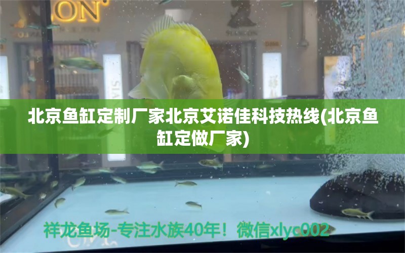 北京魚缸定制廠家北京艾諾佳科技熱線(北京魚缸定做廠家) 速倍妥魚糧魚藥