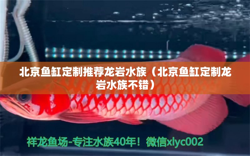 北京魚缸定制推薦龍巖水族（北京魚缸定制龍巖水族不錯(cuò)） 其他品牌魚缸