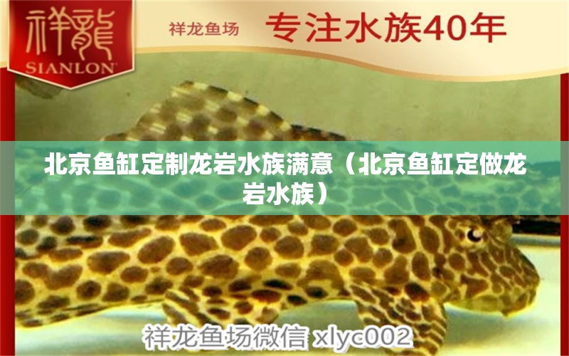 北京魚缸定制龍巖水族滿意（北京魚缸定做龍巖水族） 觀賞蝦蟹等飼料