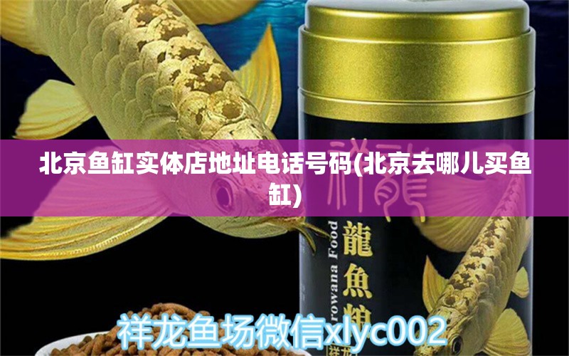 北京魚缸實體店地址電話號碼(北京去哪兒買魚缸) 銀龍魚苗